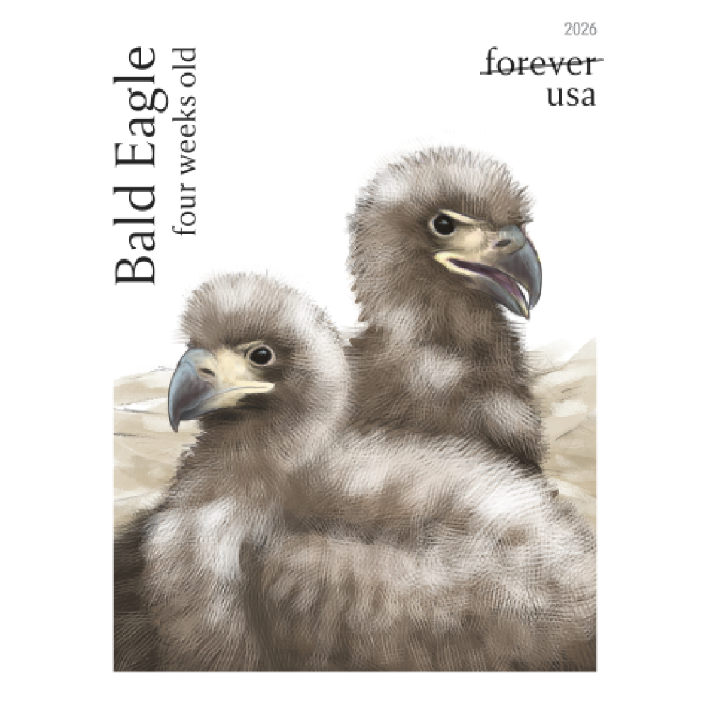 (2026) Bald Eagle: Hatchling to Adult Forever Stamps, Sheet of 20